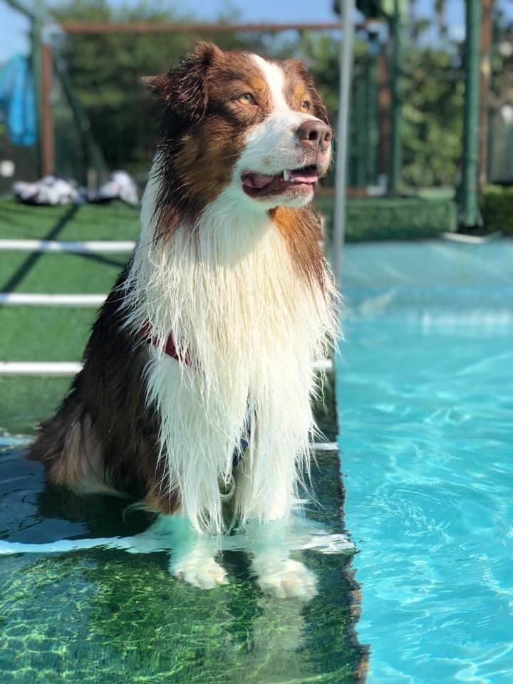 piscina.JPG